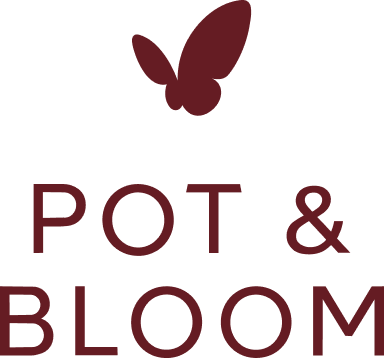 Pot & Bloom